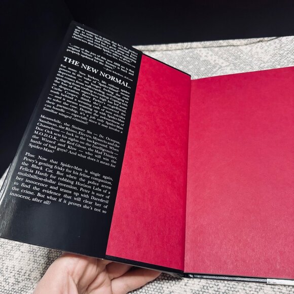 The Amazing Spider-Man- Flying Blind, Graphic Novel - Picture 5 of 5